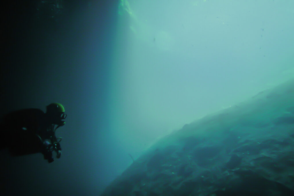 Cenote dive during a Galopina experience