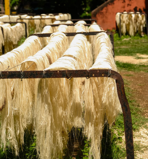 Sotuta de Peon Farm